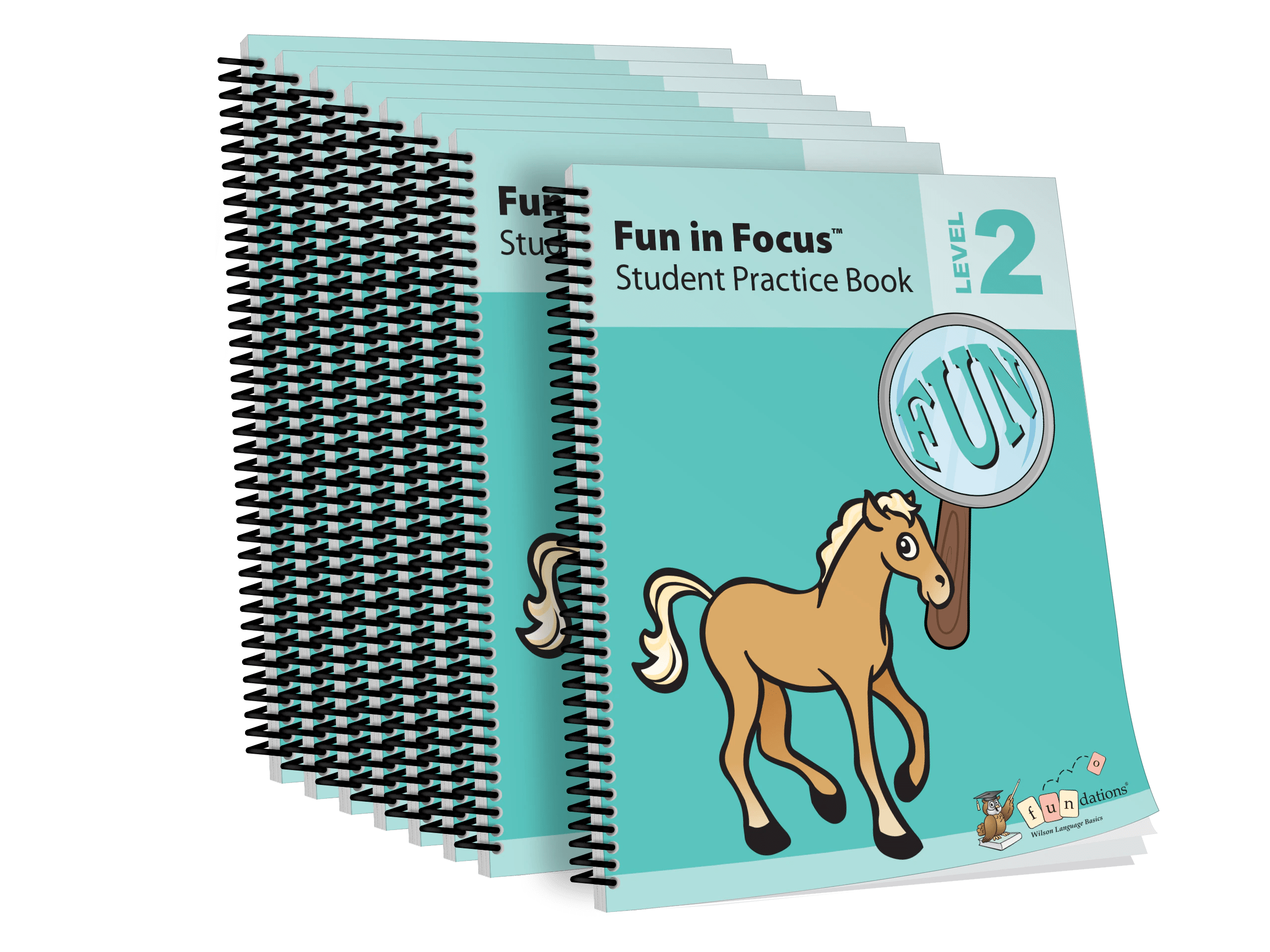 Fun in Focus Student Practice Book Level 2 (8Pack)